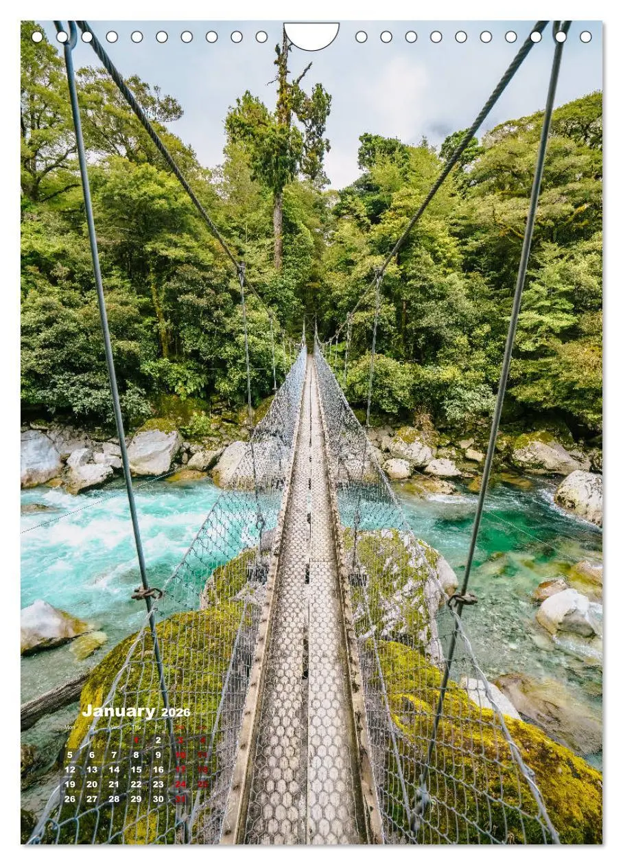 Bild: 9783516560251 | Discover New Zealand (Wall Calendar 2026 DIN A4 portrait), CALVENDO...