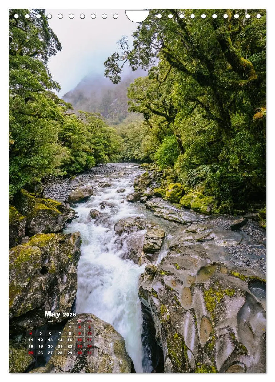 Bild: 9783516560251 | Discover New Zealand (Wall Calendar 2026 DIN A4 portrait), CALVENDO...