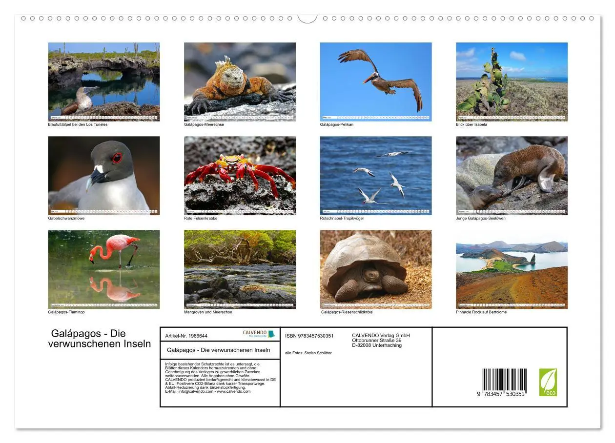 Bild: 9783457530351 | Galápagos - Die verwunschenen Inseln (hochwertiger Premium...