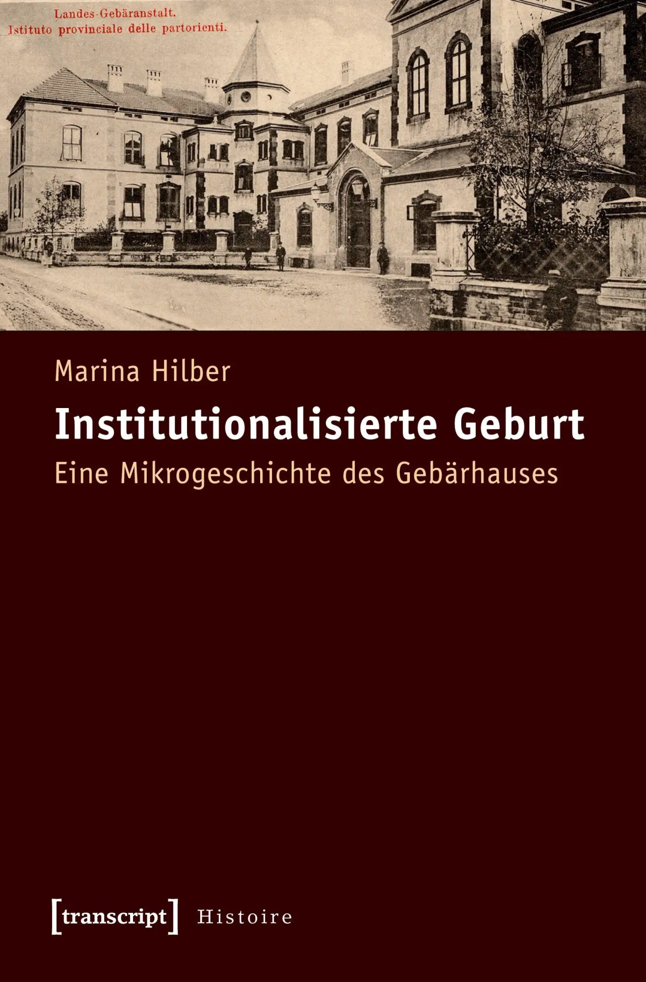 Cover: 9783837620351 | Institutionalisierte Geburt | Marina Hilber | Taschenbuch | 362 S.