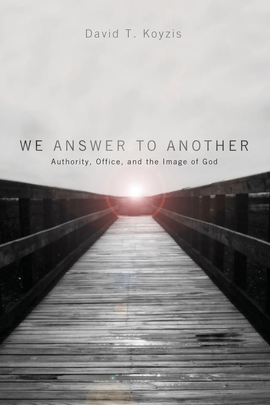 Cover: 9781625640451 | We Answer to Another | David T. Koyzis | Taschenbuch | Englisch | 2014