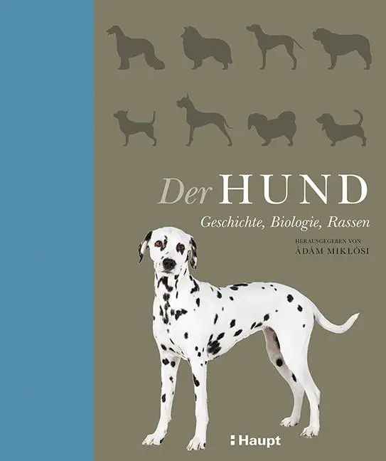 Cover: 9783258080451 | Der Hund | Geschichte, Biologie, Rassen | Ádám Miklósi | Buch | 224 S.