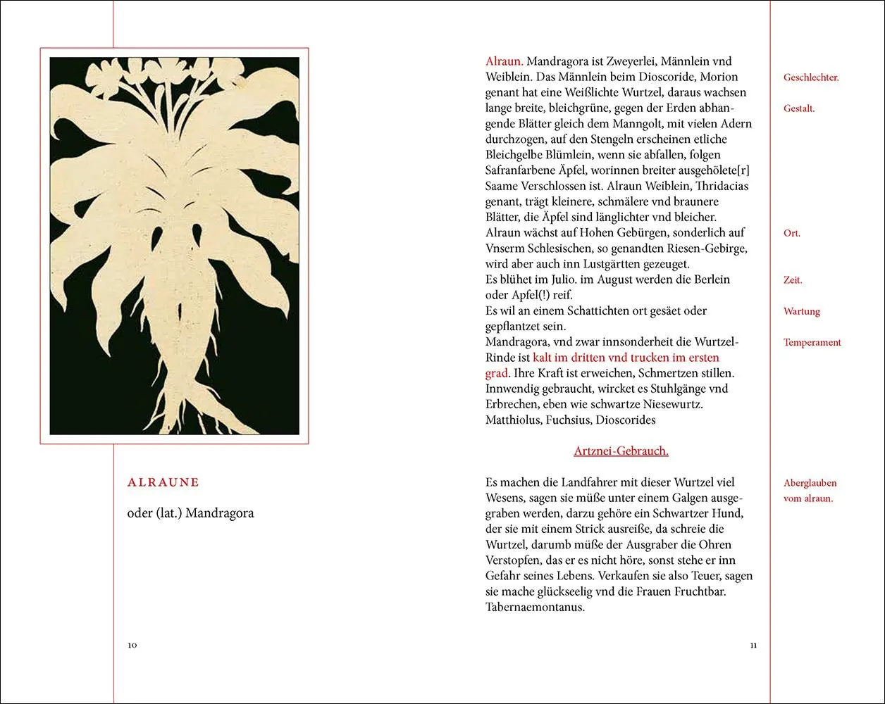 Bild: 9783458200451 | Das Kräuterbuch des Johann Christoph Ende | Renate Schipke | Buch