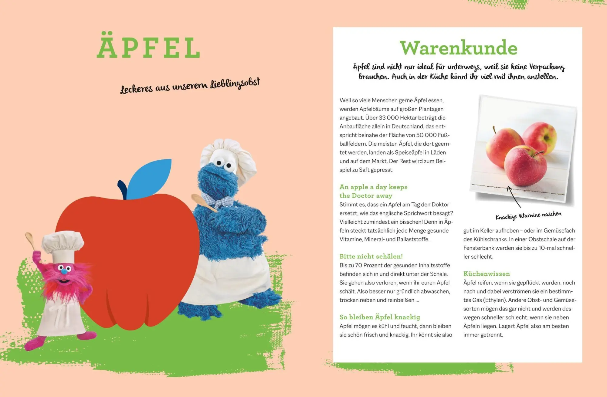 Bild: 9783833890451 | Krümelmonster Foodie Truck mit Steffen Henssler | Das Kochbuch | Buch