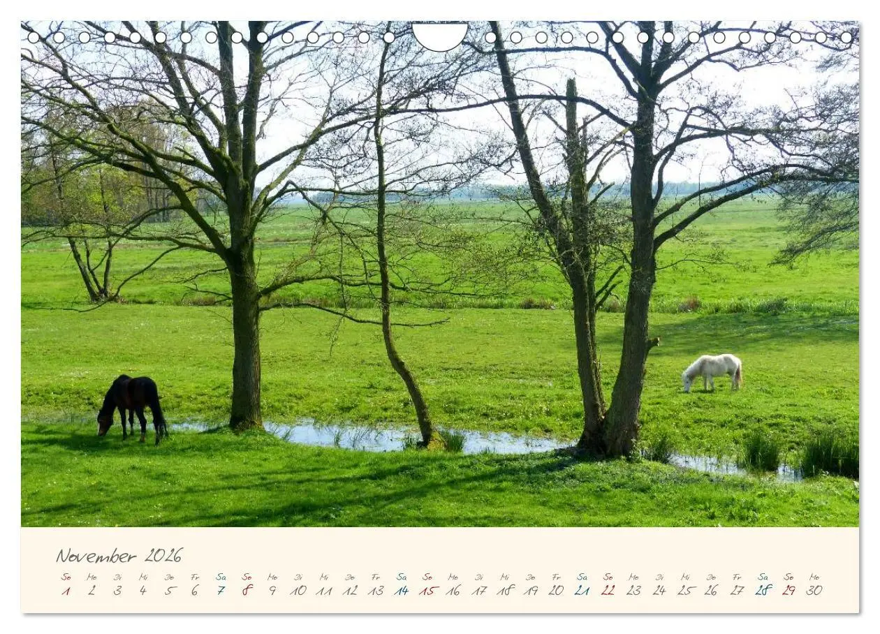 Bild: 9783516080551 | Bremer Blockland - Landleben in der Großstadt (Wandkalender 2026...
