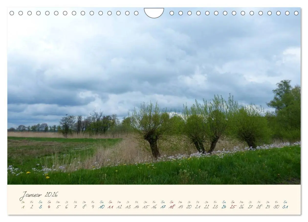 Bild: 9783516080551 | Bremer Blockland - Landleben in der Großstadt (Wandkalender 2026...