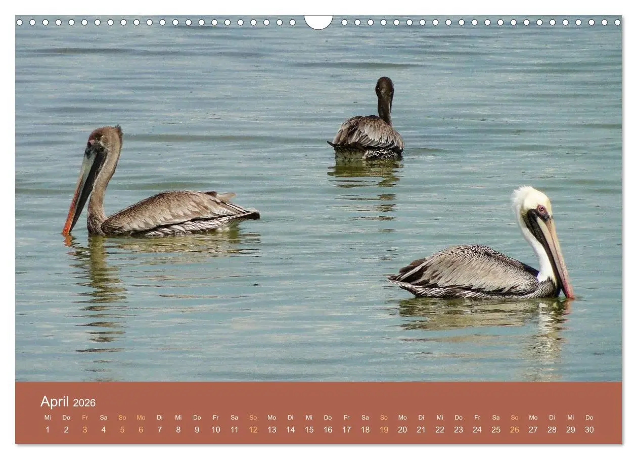Bild: 9783516210651 | ABC: Aruba - Bonaire - Curaçao (Wandkalender 2026 DIN A3 quer),...
