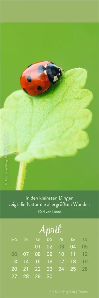 Bild: 9783756410651 | Tage voller Glück Lesezeichen &amp; Kalender 2026 | Kalender | Geblockt