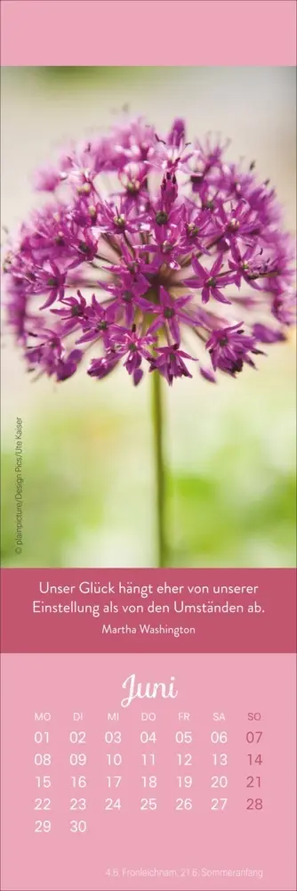 Bild: 9783756410651 | Tage voller Glück Lesezeichen &amp; Kalender 2026 | Kalender | Geblockt