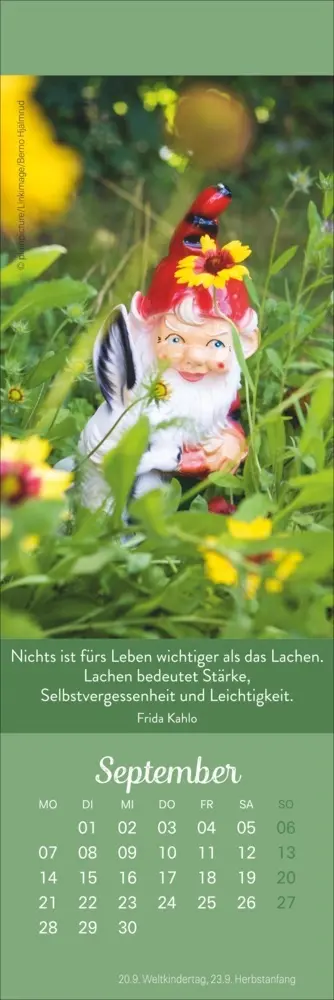 Bild: 9783756410651 | Tage voller Glück Lesezeichen &amp; Kalender 2026 | Kalender | Geblockt