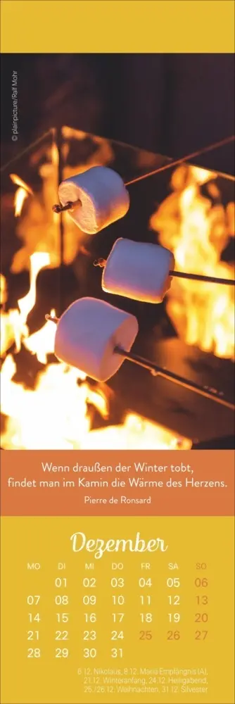 Bild: 9783756410651 | Tage voller Glück Lesezeichen &amp; Kalender 2026 | Kalender | Geblockt