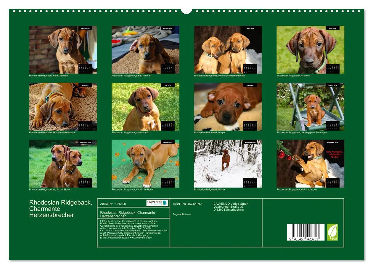 Bild: 9783457420751 | Rhodesian Ridgeback, Charmante Herzensbrecher (hochwertiger Premium...