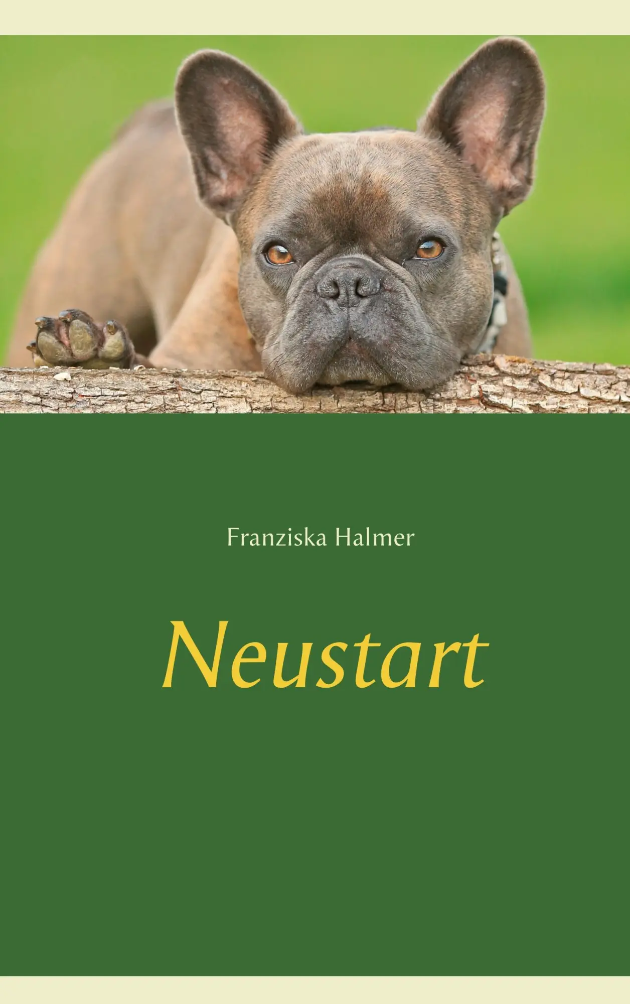 Cover: 9783748100751 | Neustart | Franziska Halmer | Taschenbuch | 160 S. | Deutsch | 2018