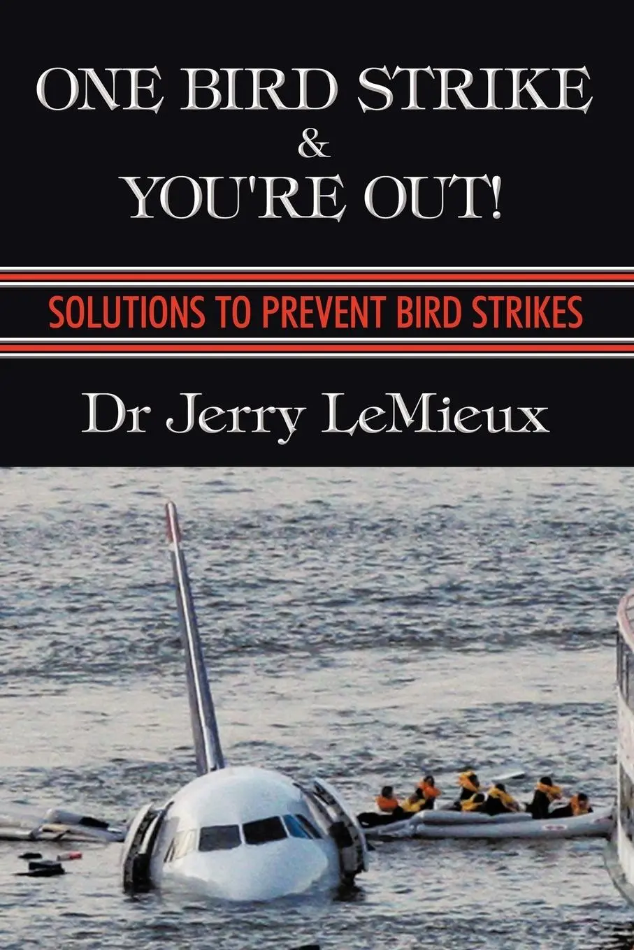Cover: 9781426920851 | One Bird Strike and You're Out! | Solutions to Prevent Bird Strikes