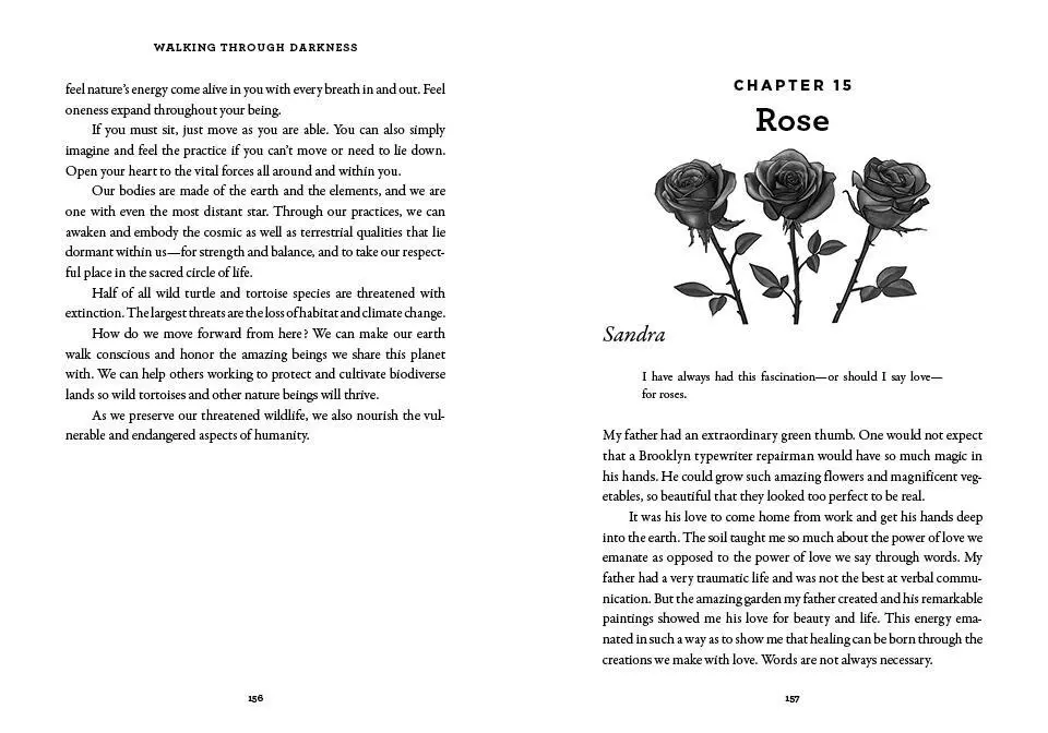 Bild: 9781454950851 | Walking Through Darkness | Sandra Ingerman (u. a.) | Taschenbuch