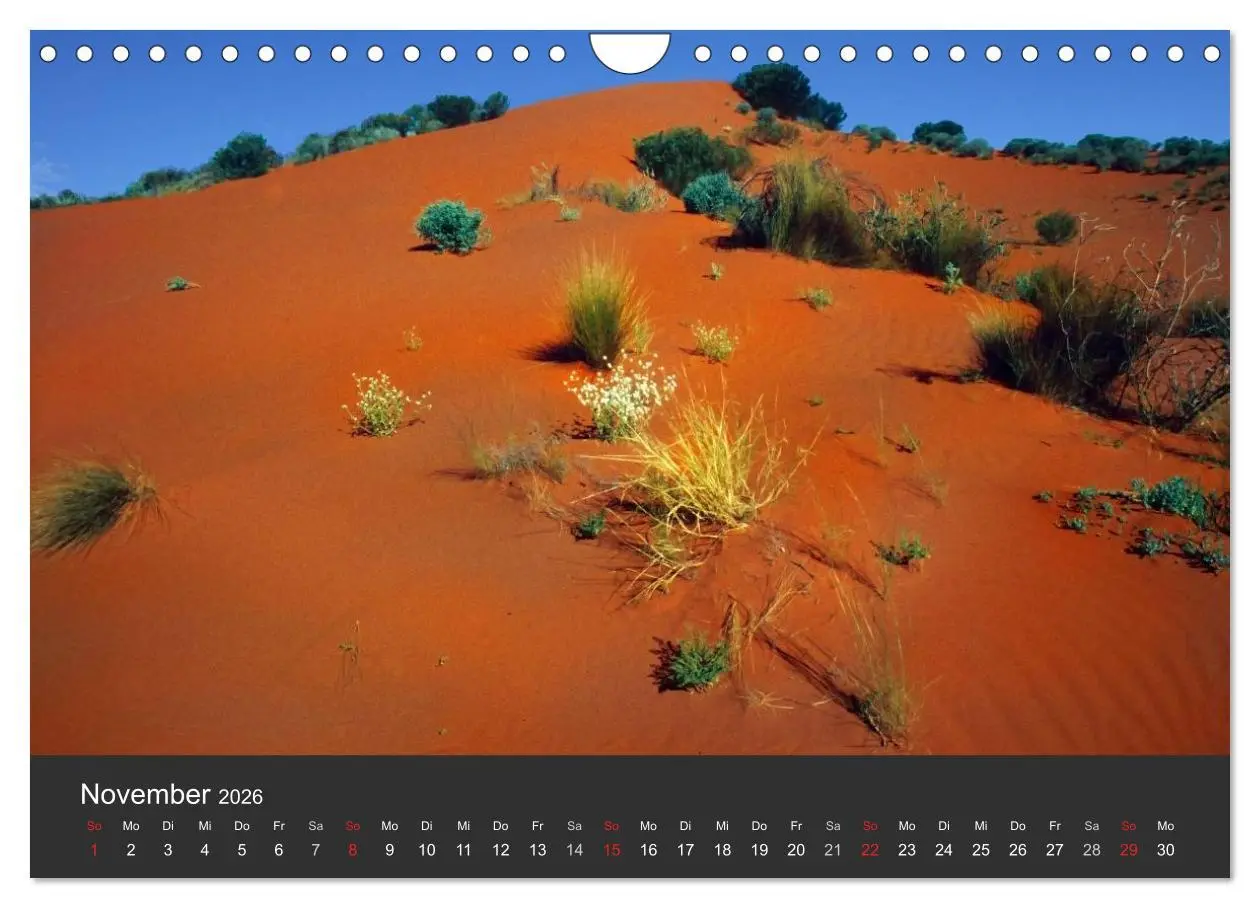 Bild: 9783516120851 | Wüsten, wilde Schönheiten (Wandkalender 2026 DIN A4 quer), CALVENDO...