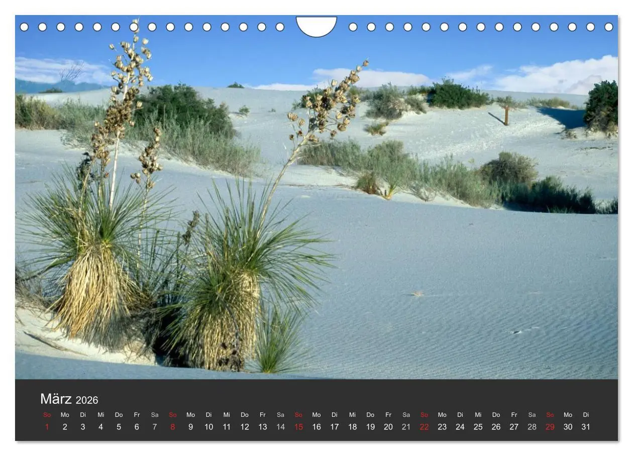 Bild: 9783516120851 | Wüsten, wilde Schönheiten (Wandkalender 2026 DIN A4 quer), CALVENDO...