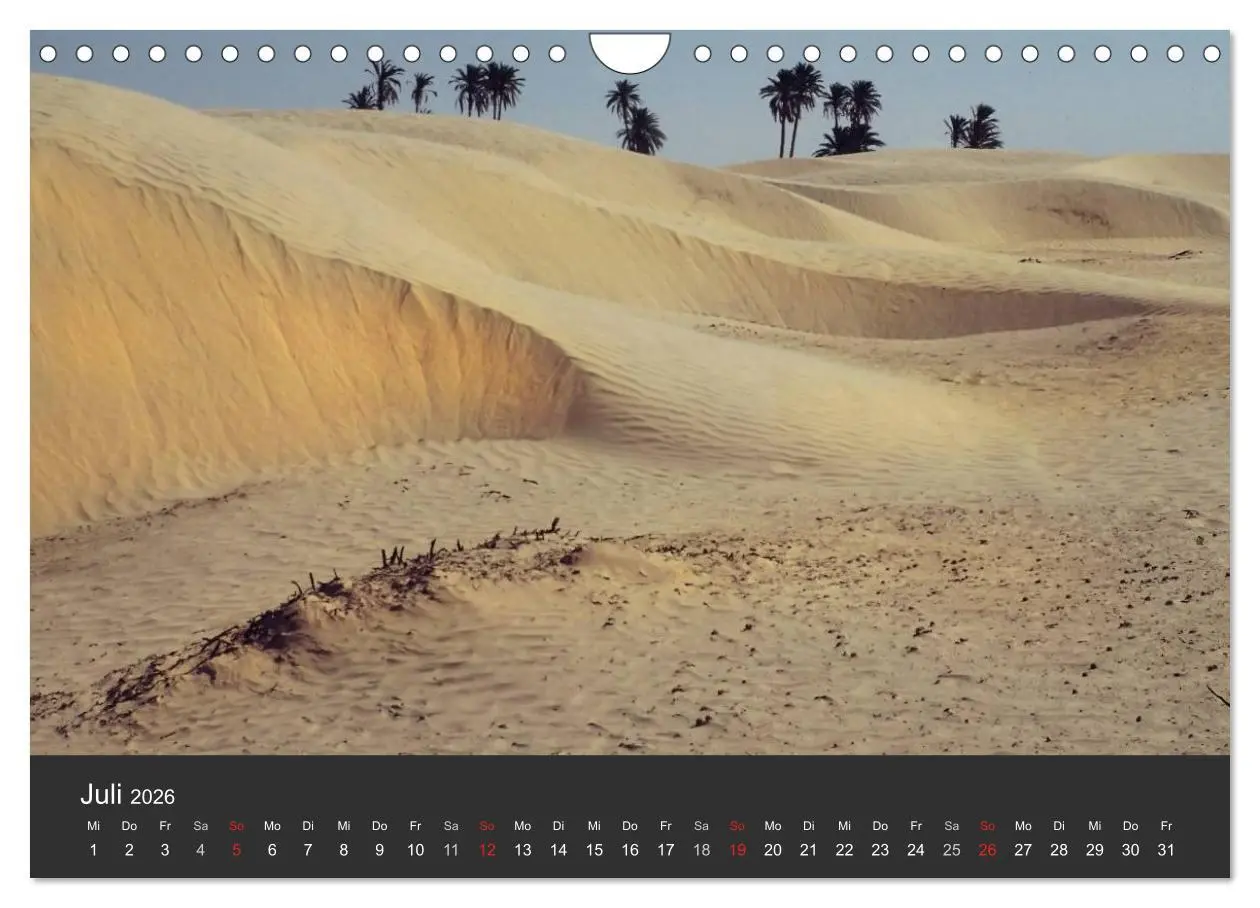 Bild: 9783516120851 | Wüsten, wilde Schönheiten (Wandkalender 2026 DIN A4 quer), CALVENDO...