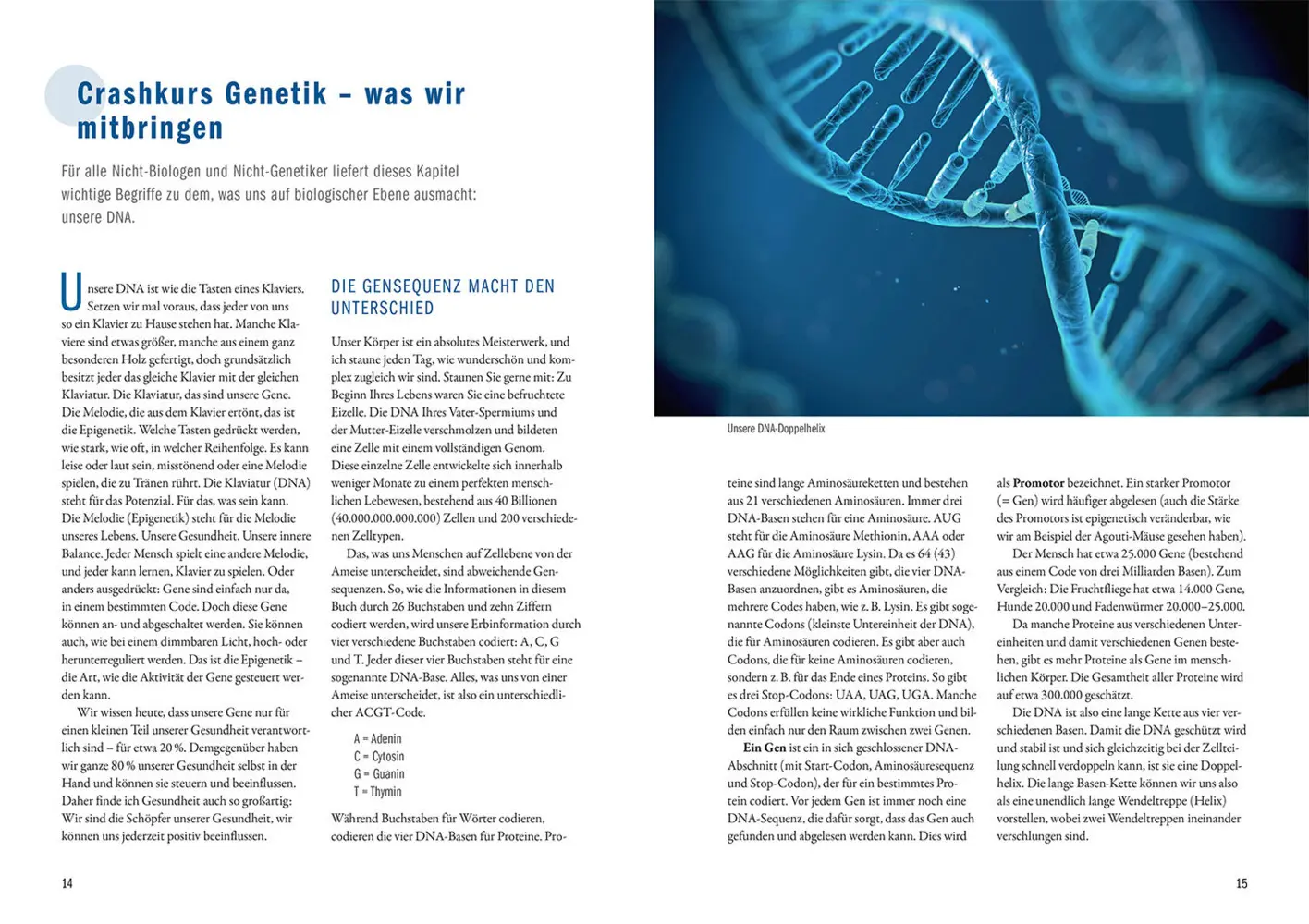 Bild: 9783968590851 | Der Epigenetik-Code | Martin Auerswald | Taschenbuch | 152 S. | 2025