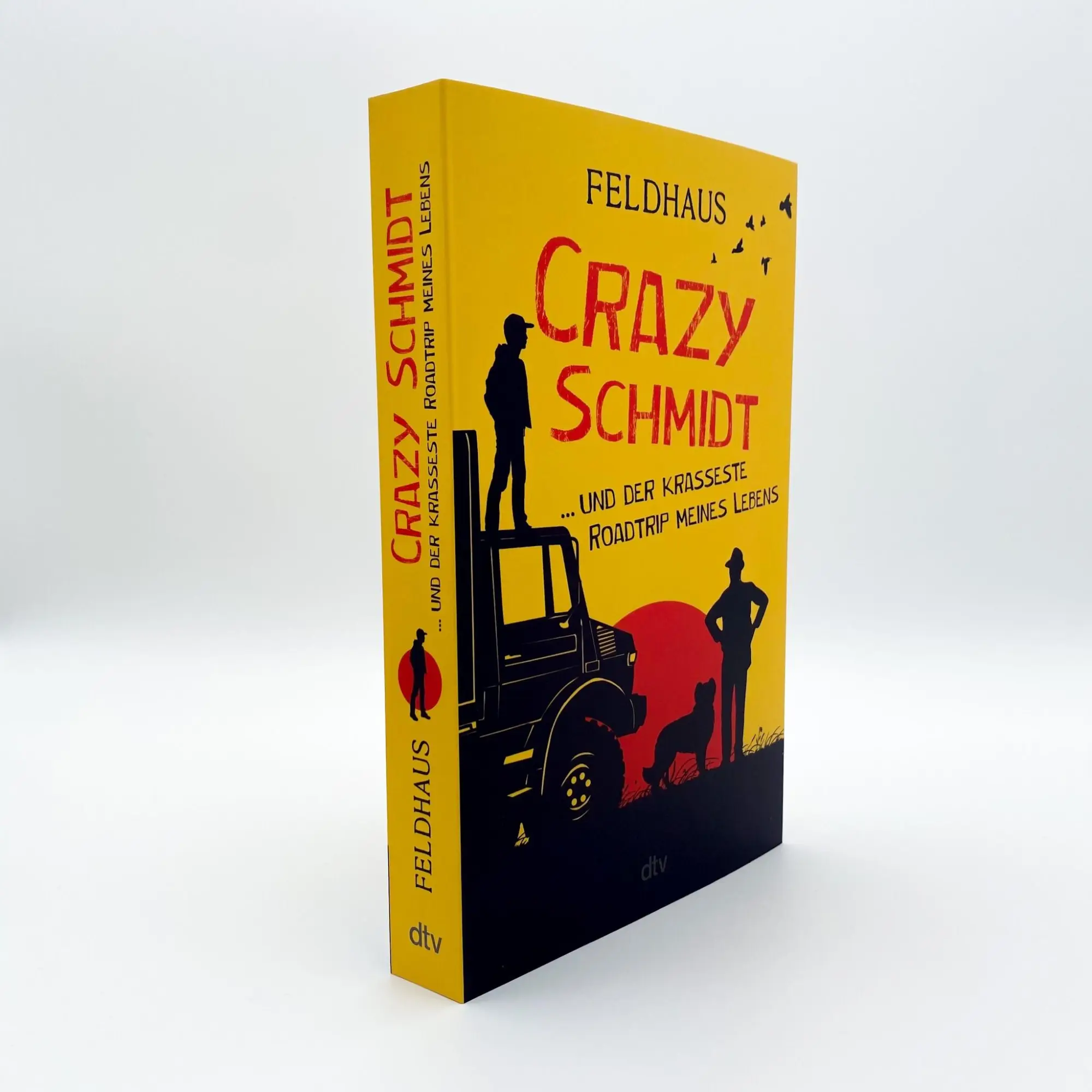Bild: 9783423740951 | Crazy Schmidt ... und der krasseste Roadtrip meines Lebens | Feldhaus