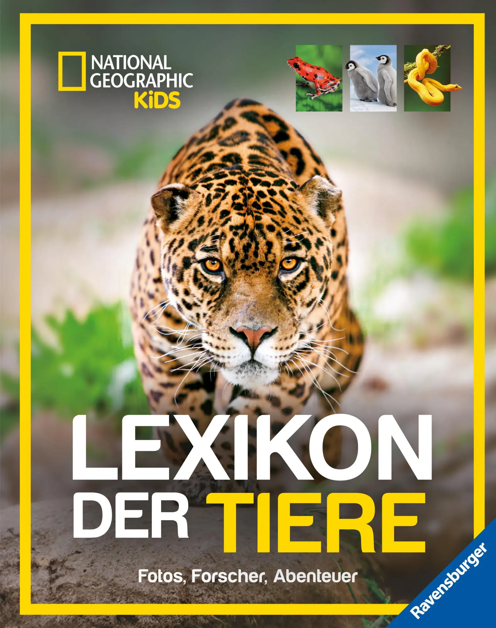 Cover: 9783473480951 | National Geographic Kids - Lexikon der Tiere | Anette Ostländer | Buch