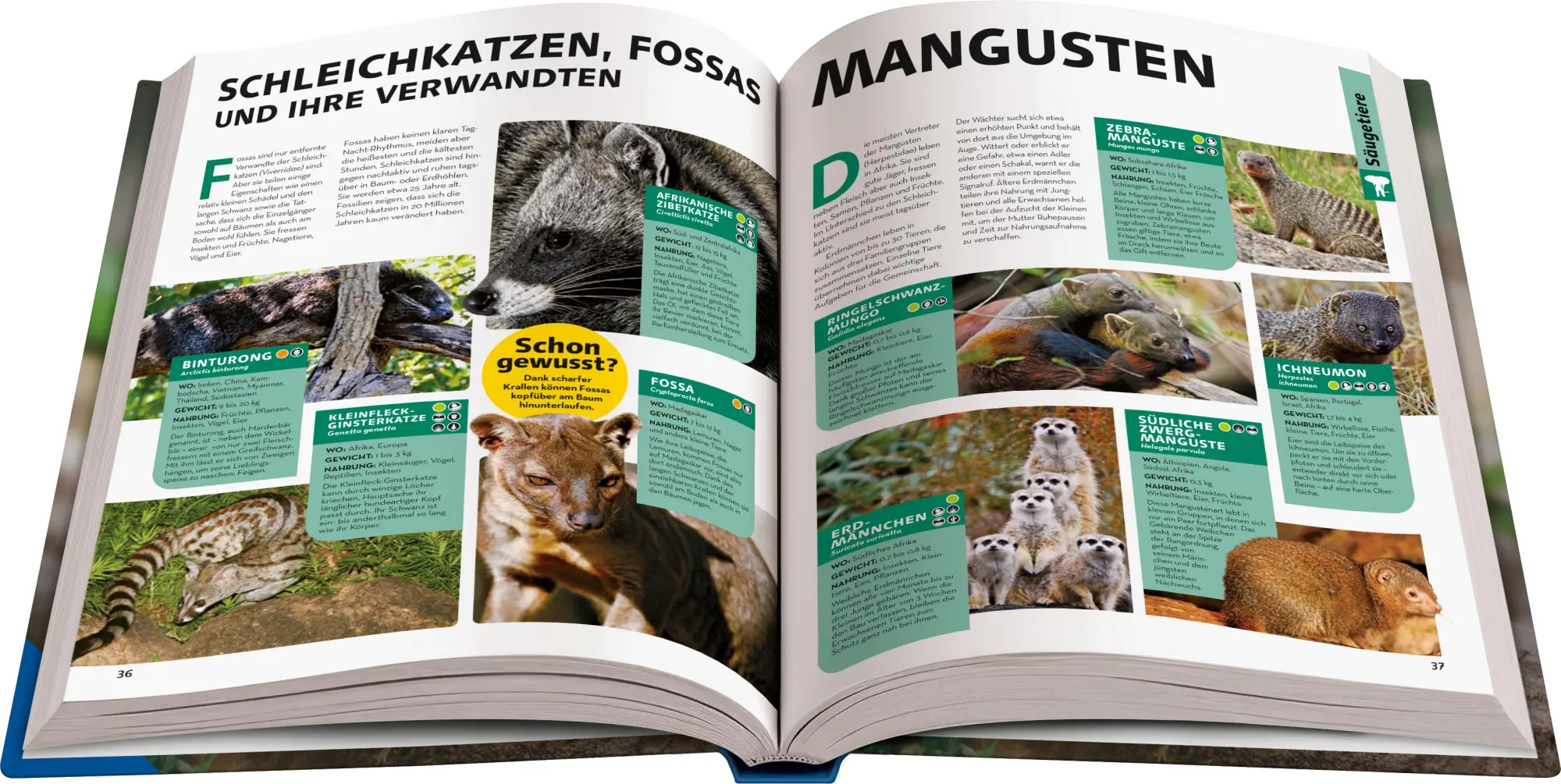 Bild: 9783473480951 | National Geographic Kids - Lexikon der Tiere | Anette Ostländer | Buch