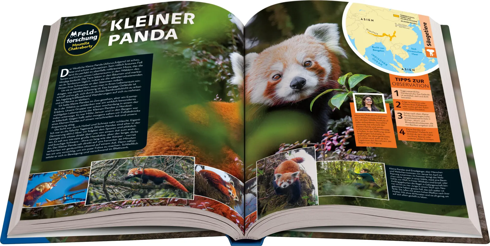 Bild: 9783473480951 | National Geographic Kids - Lexikon der Tiere | Anette Ostländer | Buch