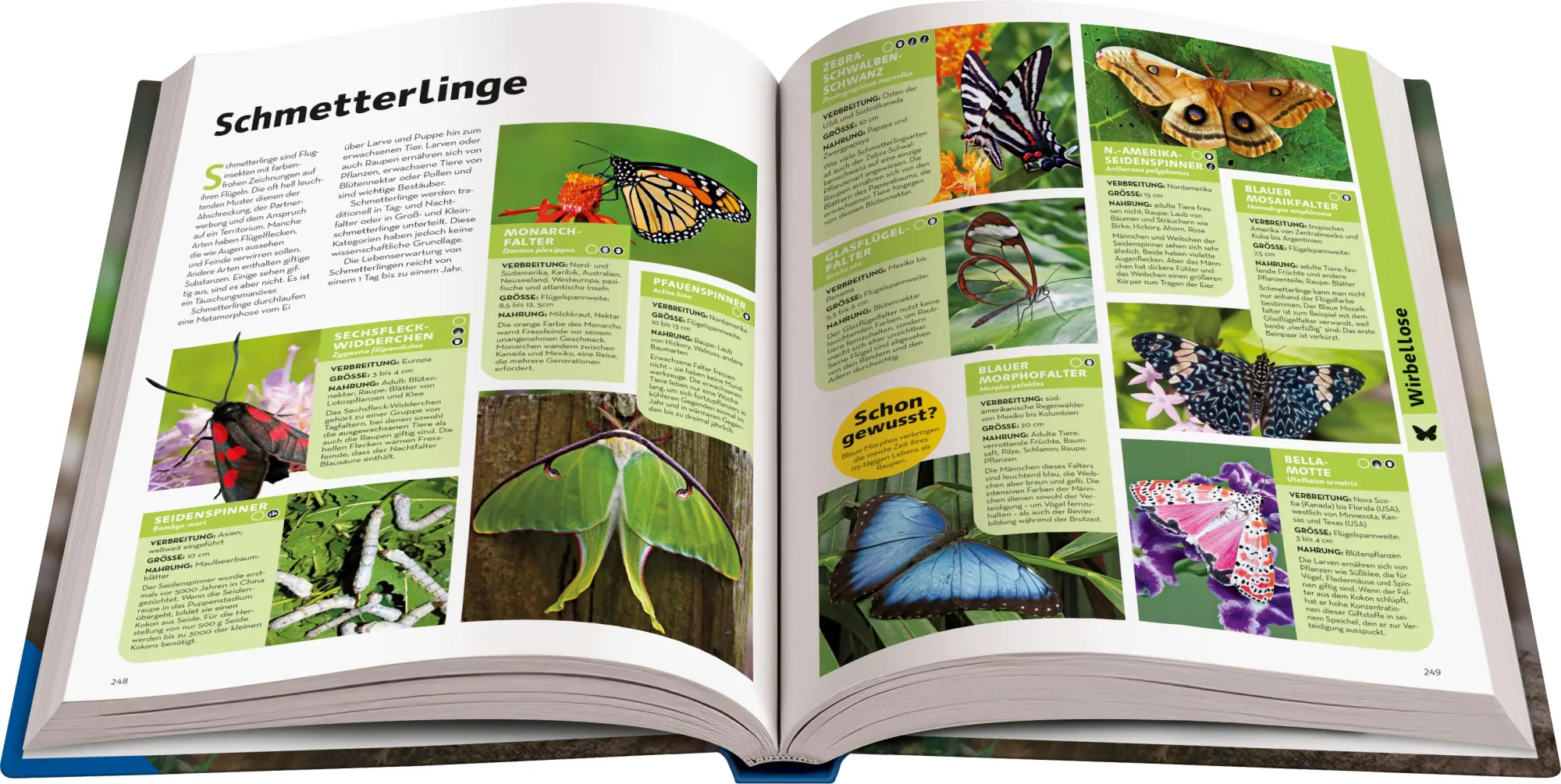 Bild: 9783473480951 | National Geographic Kids - Lexikon der Tiere | Anette Ostländer | Buch