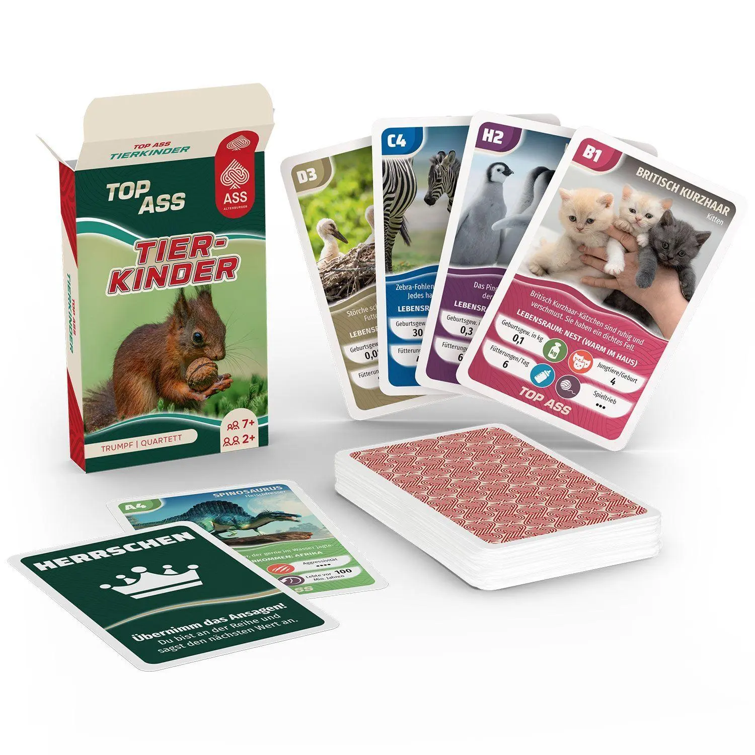 Bild: 4042677721051 | TOP ASS - Tierkinder | Spielkartenfabrik Altenburg GmbH | Spiel | 2026