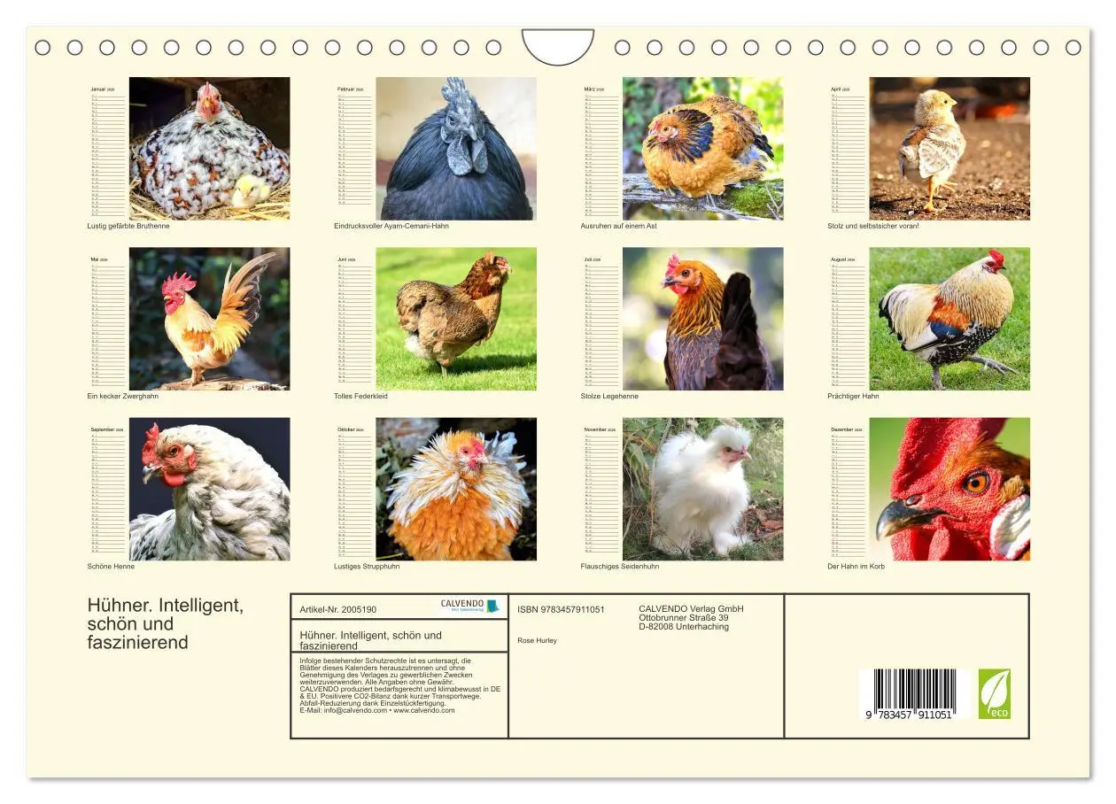 Bild: 9783457911051 | Hühner. Intelligent, schön und faszinierend (Wandkalender 2026 DIN...