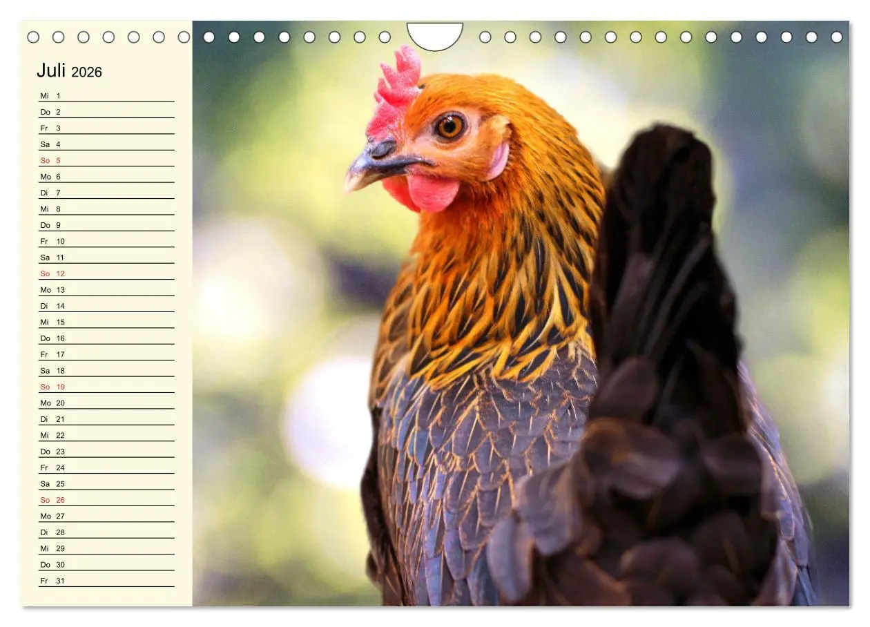 Bild: 9783457911051 | Hühner. Intelligent, schön und faszinierend (Wandkalender 2026 DIN...