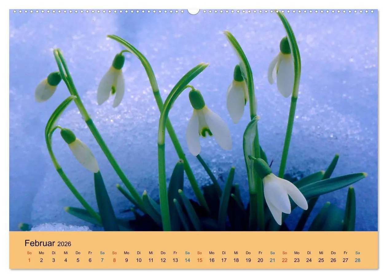 Bild: 9783516171051 | Wildblumen 2026 (hochwertiger Premium Wandkalender 2026 DIN A2...
