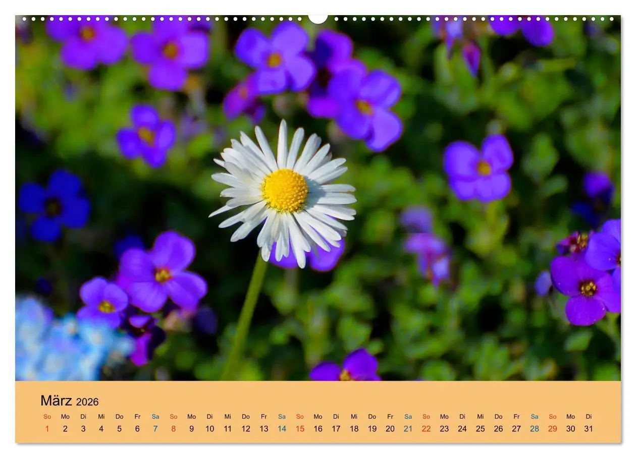 Bild: 9783516171051 | Wildblumen 2026 (hochwertiger Premium Wandkalender 2026 DIN A2...