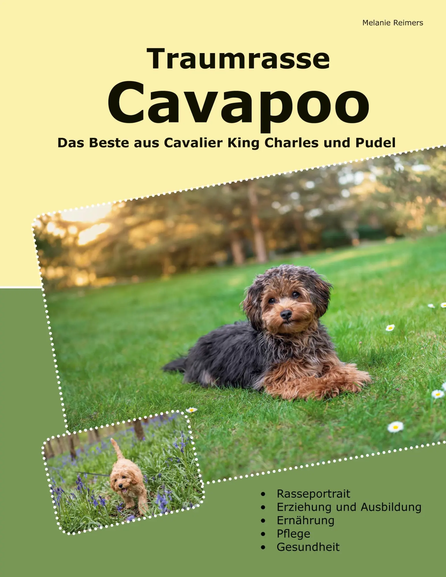Cover: 9783695741151 | Traumrasse Cavapoo | Melanie Reimers | Taschenbuch | 180 S. | Deutsch