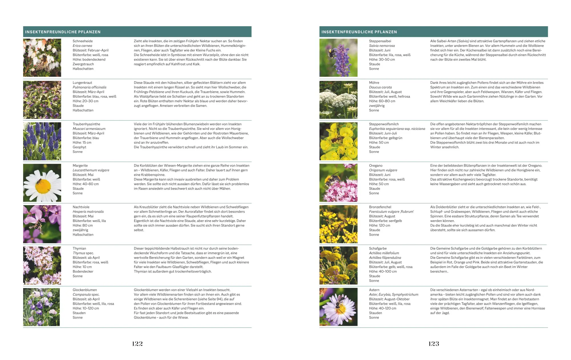 Bild: 9783967471151 | Die Welt in meinem Garten | Cynthia Nagel | Buch | 408 S. | Deutsch