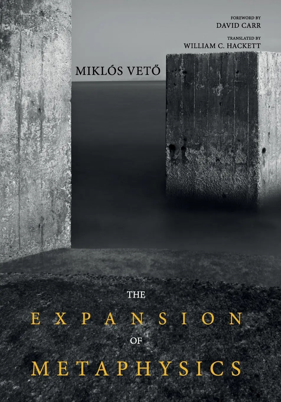 Cover: 9781498231251 | The Expansion of Metaphysics | Miklos Veto | Taschenbuch | Englisch