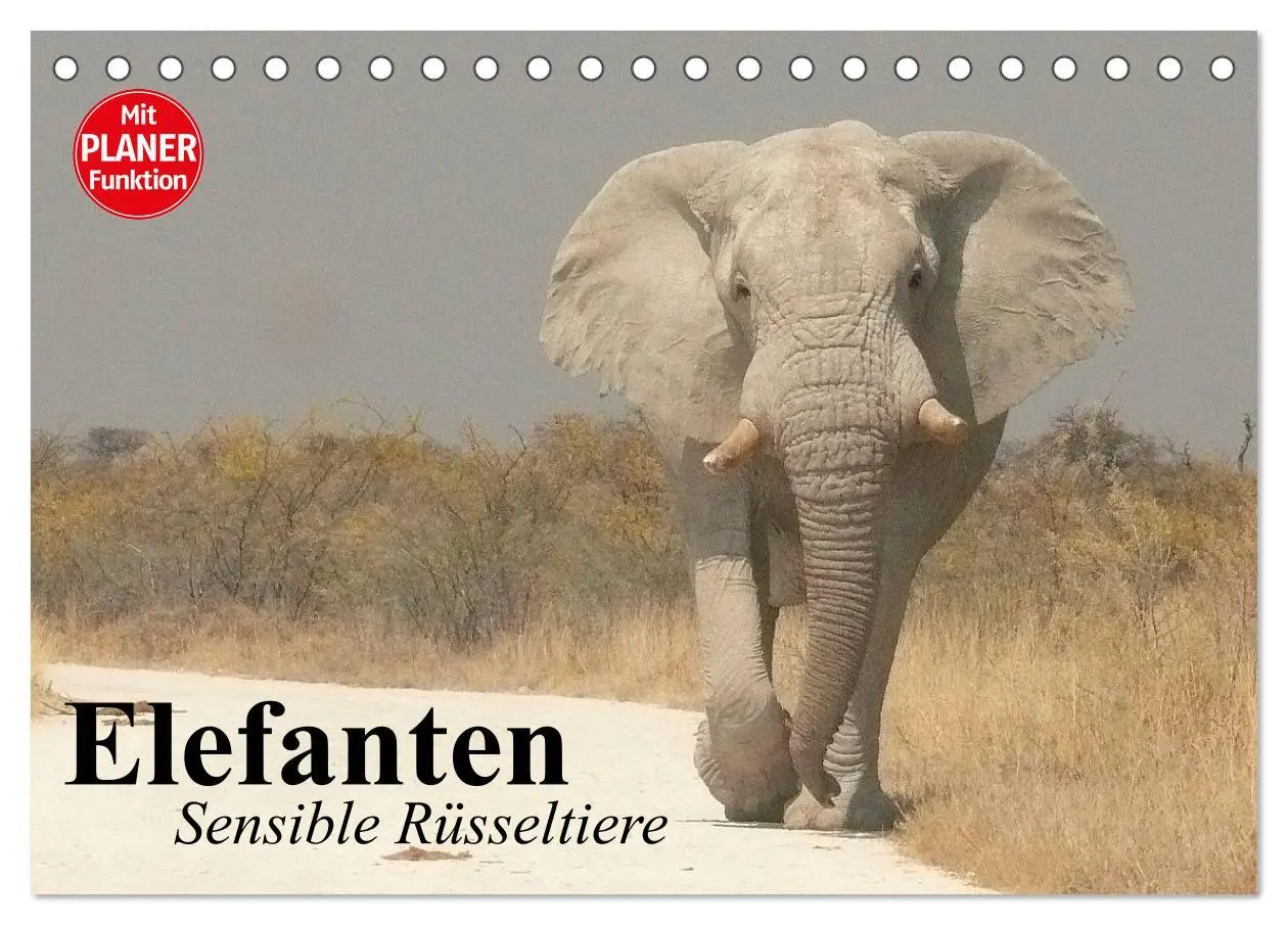 Cover: 9783457991251 | Elefanten. Sensible Rüsseltiere (Tischkalender 2026 DIN A5 quer),...
