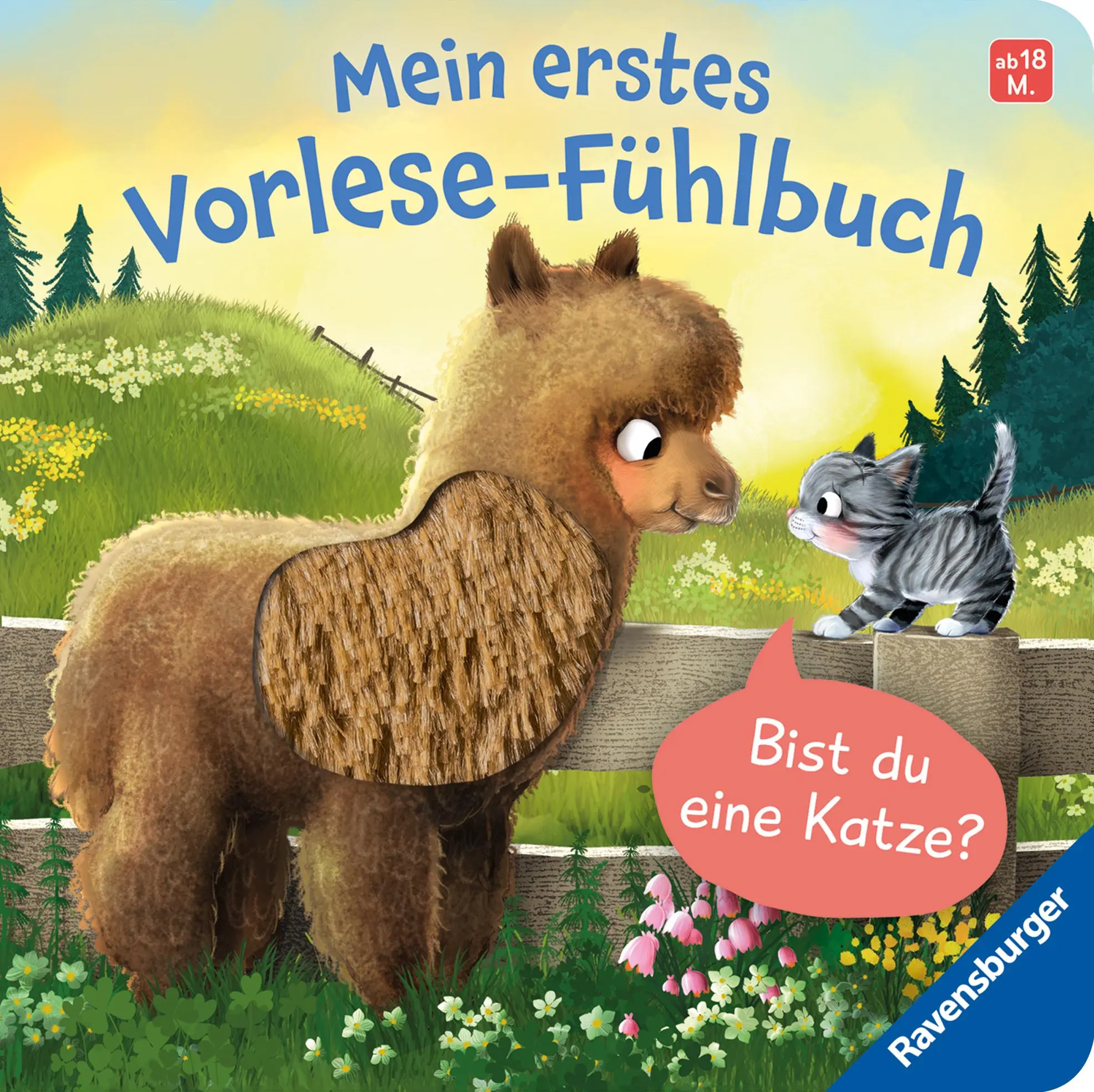 Cover: 9783473421251 | Mein erstes Vorlese-Fühlbuch - Bist du eine Katze? | Kathrin Lena Orso