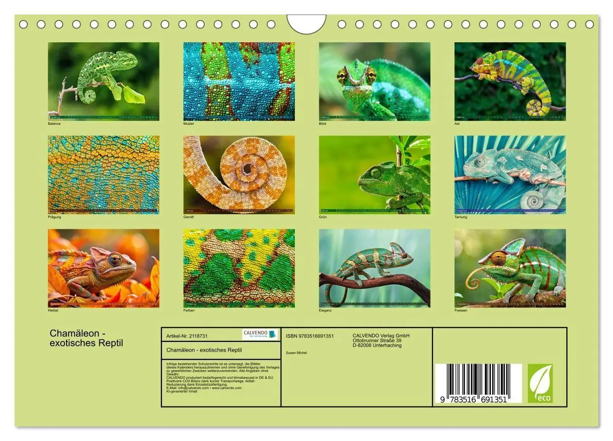 Bild: 9783516691351 | Chamäleon - exotisches Reptil (Wandkalender 2026 DIN A4 quer),...
