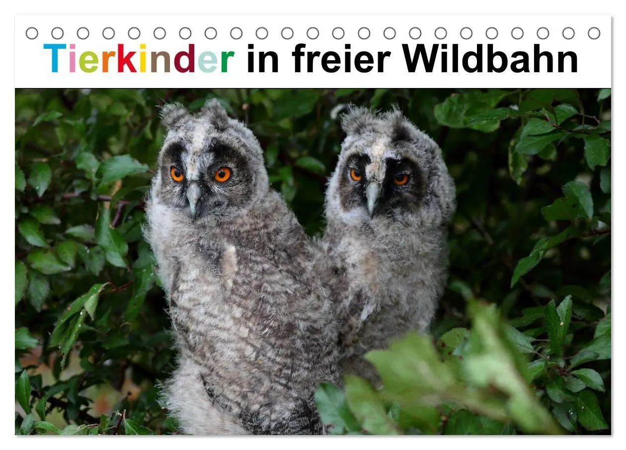 Cover: 9783569541351 | Tierkinder in freier Wildbahn (Tischkalender 2027 DIN A5 quer),...