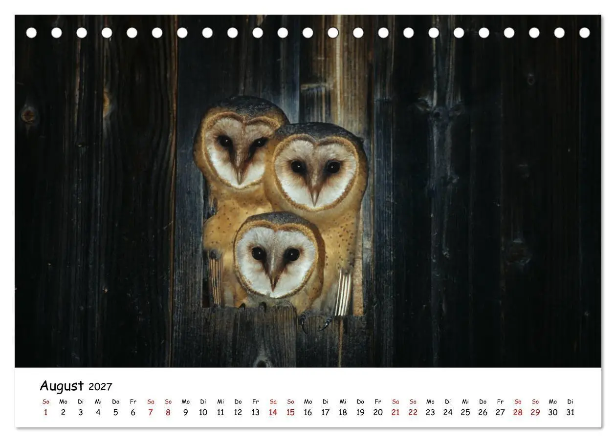 Bild: 9783569541351 | Tierkinder in freier Wildbahn (Tischkalender 2027 DIN A5 quer),...