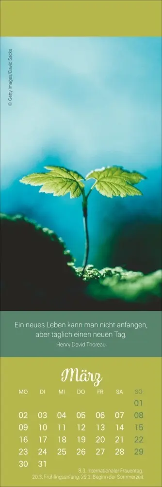 Bild: 9783756411351 | Achtsamkeit Lesezeichen &amp; Kalender 2026 | Kalender | Geblockt | 13 S.