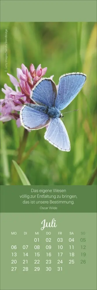 Bild: 9783756411351 | Achtsamkeit Lesezeichen &amp; Kalender 2026 | Kalender | Geblockt | 13 S.