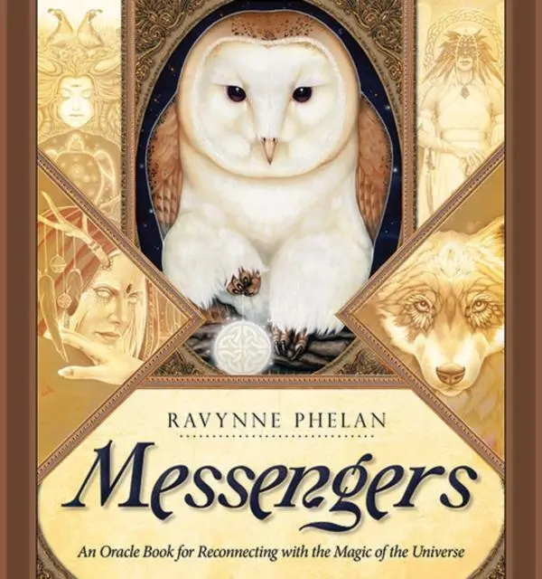 Cover: 9781922161451 | Messengers | Ravynne Phelan | Buch | Gebunden | Englisch | 2015