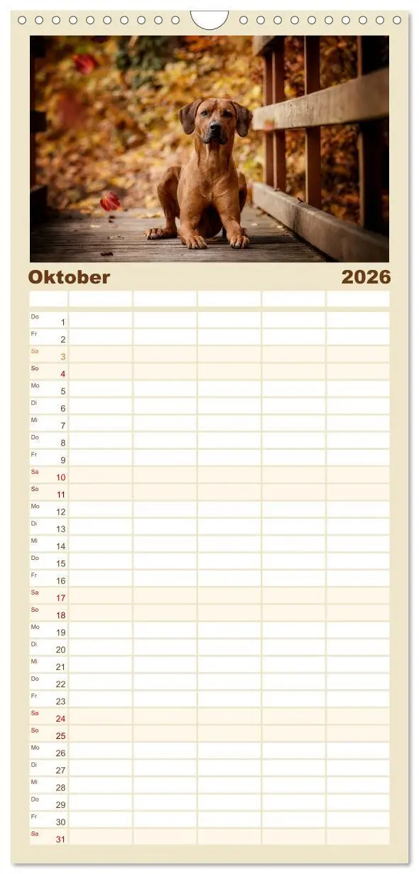 Bild: 9783516511451 | Familienplaner 2026 - Rhodesian Ridgeback - Herzen auf vier Pfoten...