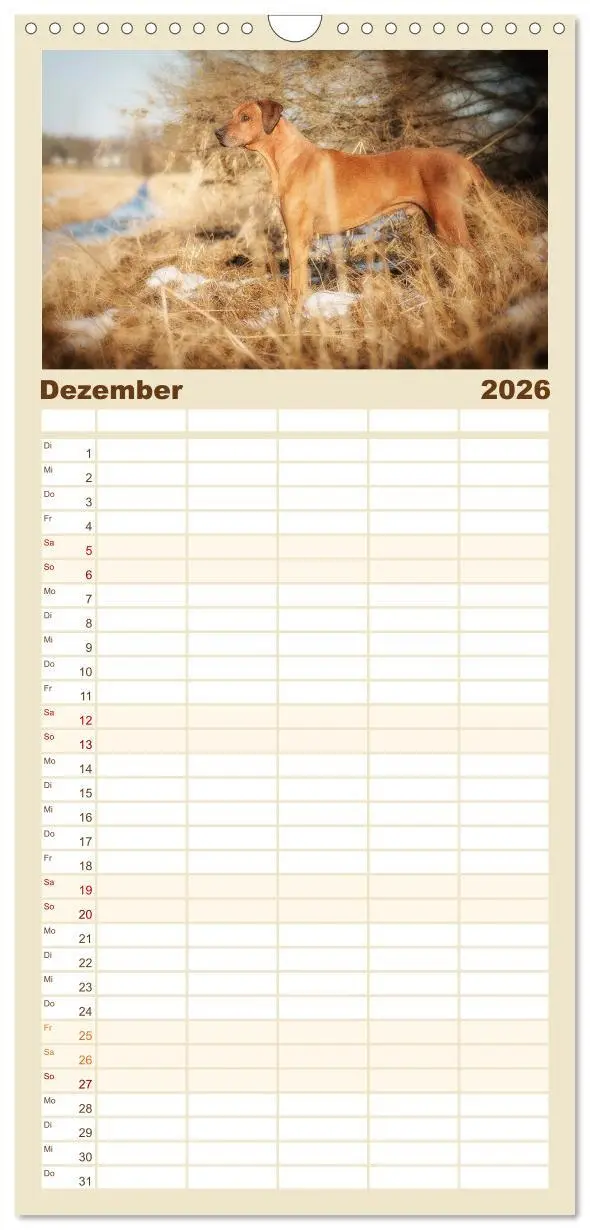 Bild: 9783516511451 | Familienplaner 2026 - Rhodesian Ridgeback - Herzen auf vier Pfoten...