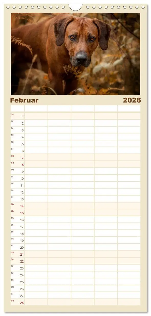 Bild: 9783516511451 | Familienplaner 2026 - Rhodesian Ridgeback - Herzen auf vier Pfoten...