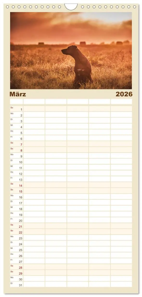 Bild: 9783516511451 | Familienplaner 2026 - Rhodesian Ridgeback - Herzen auf vier Pfoten...