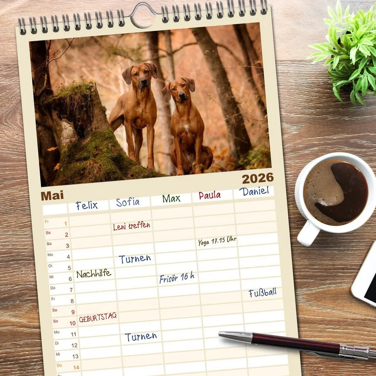 Bild: 9783516511451 | Familienplaner 2026 - Rhodesian Ridgeback - Herzen auf vier Pfoten...