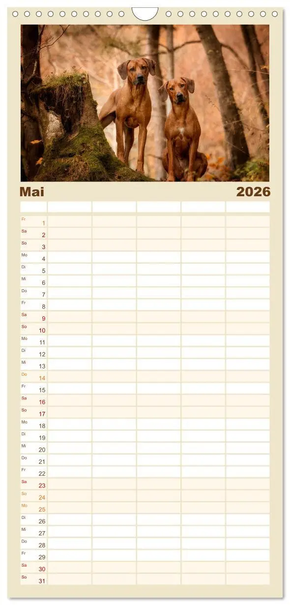 Bild: 9783516511451 | Familienplaner 2026 - Rhodesian Ridgeback - Herzen auf vier Pfoten...